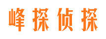 九龙私家侦探公司